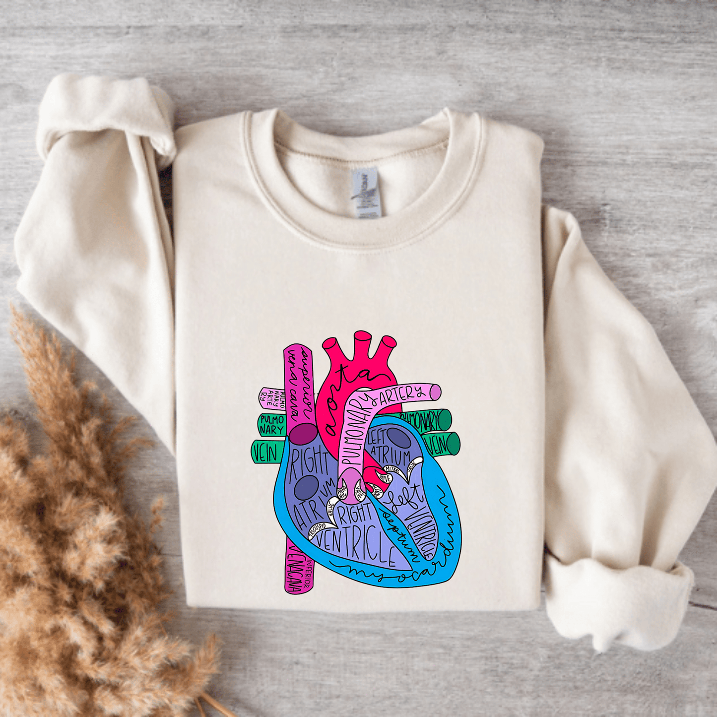 Anatomical Heart Sweatshirt – Colorful Human Heart Diagram Crewneck for Nurses, Med Students & Healthcare Workers Sand